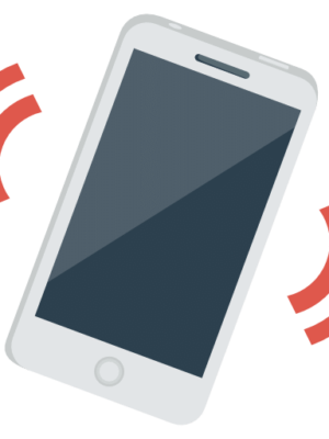 WordPress Speed Optimization