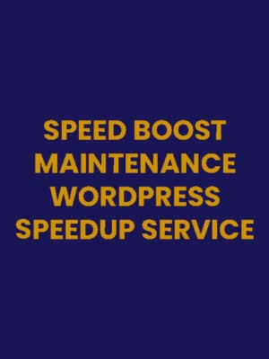 Speed Boost Maintenance Plan (12 Months)