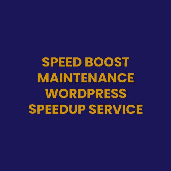 Speed Boost Maintenance Plan (12 Months)